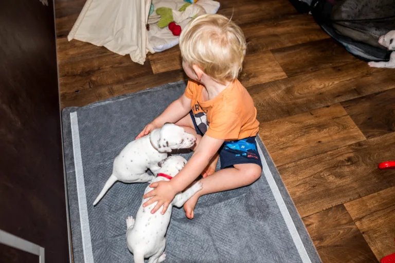 27. Lebenstag - B-Wurf (2)