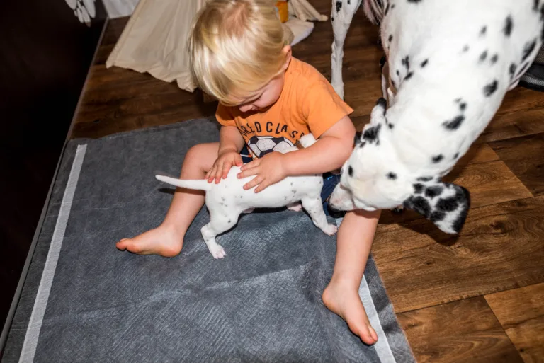 27. Lebenstag - B-Wurf (3)