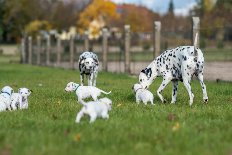 27. Lebenstag - B-Wurf (59)