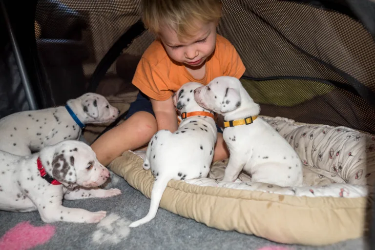 27. Lebenstag - B-Wurf (6)