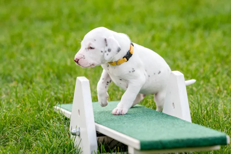 29. Lebenstag - B-Wurf (17)