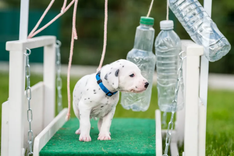 29. Lebenstag - B-Wurf (2)