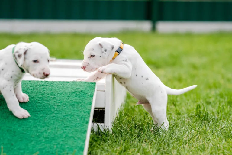 29. Lebenstag - B-Wurf (23)