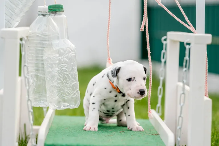 29. Lebenstag - B-Wurf (24)