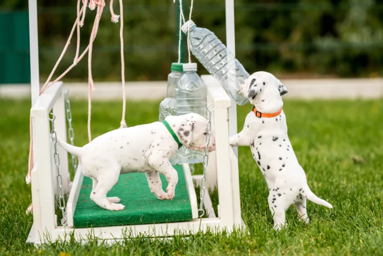 29. Lebenstag - B-Wurf (25)