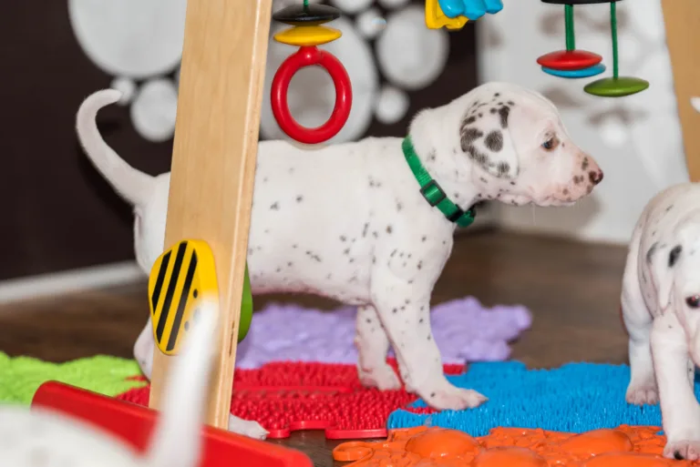 29. Lebenstag - B-Wurf (40)