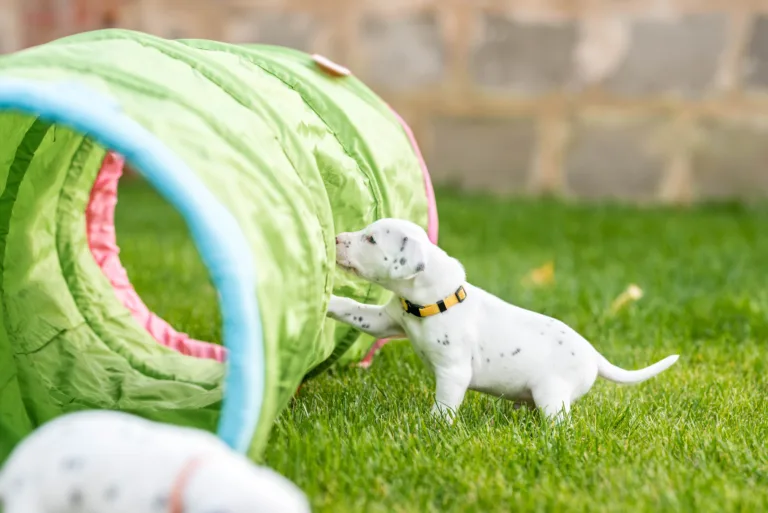 29. Lebenstag - B-Wurf (5)