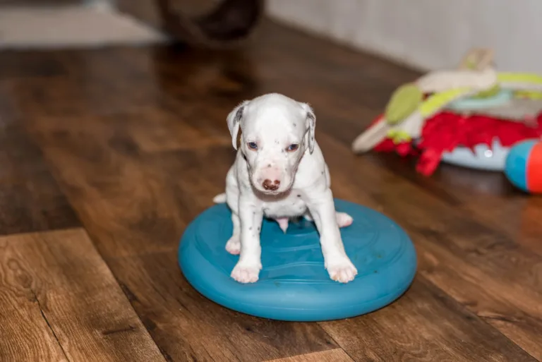 29. Lebenstag - B-Wurf (53)