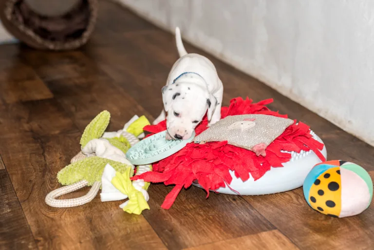 29. Lebenstag - B-Wurf (55)