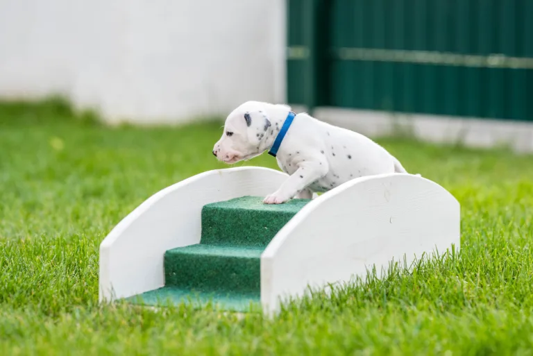 29. Lebenstag - B-Wurf (6)