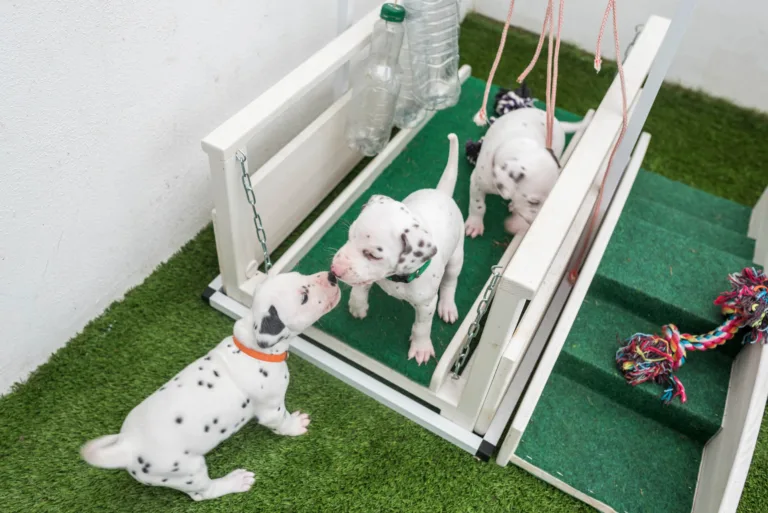 30. Lebenstag - B-Wurf (2)