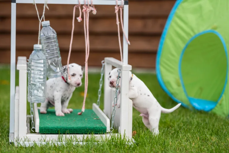 30. Lebenstag - B-Wurf (26)