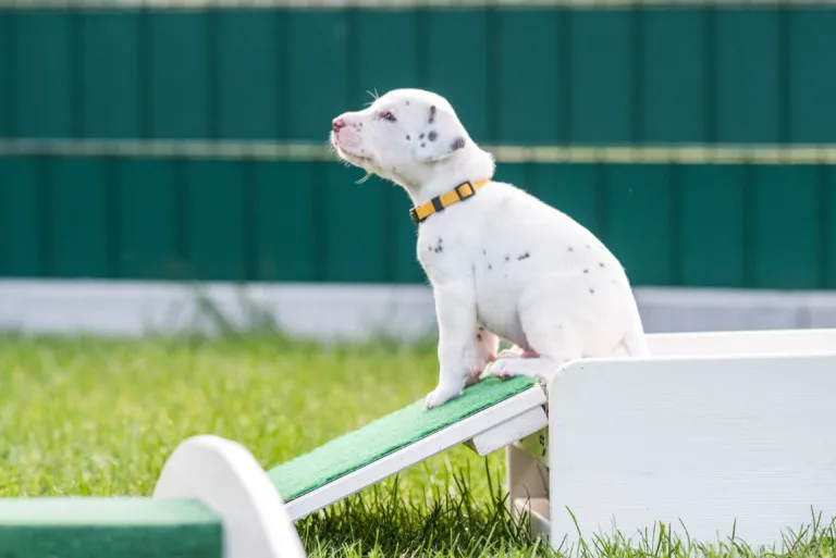 30. Lebenstag - B-Wurf (37)
