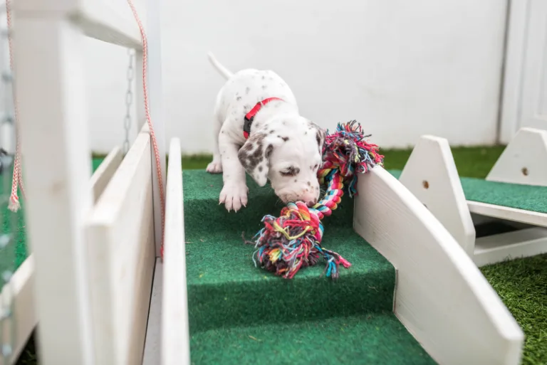 30. Lebenstag - B-Wurf (4)