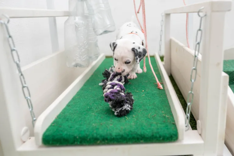 30. Lebenstag - B-Wurf (5)