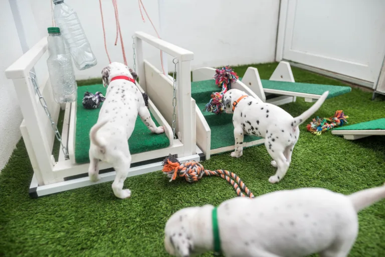 30. Lebenstag - B-Wurf (8)