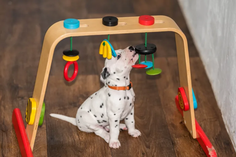 31. Lebenstag - B-Wurf (1)