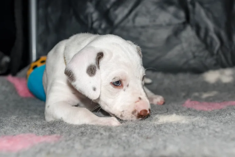 31. Lebenstag - B-Wurf (11)