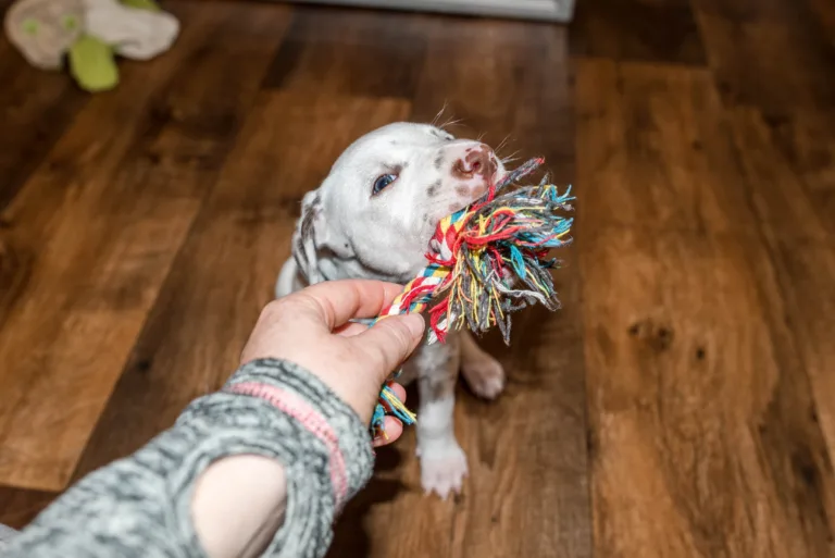 31. Lebenstag - B-Wurf (22)