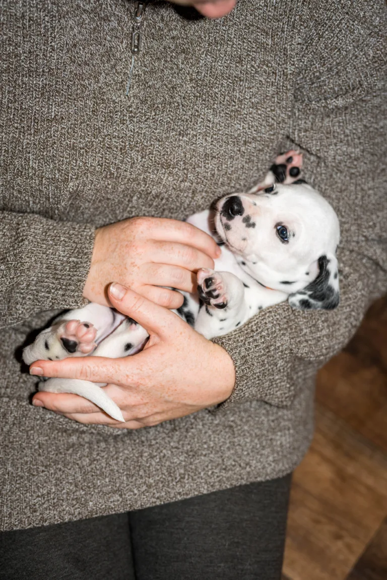 32. Lebenstag - B-Wurf (10)