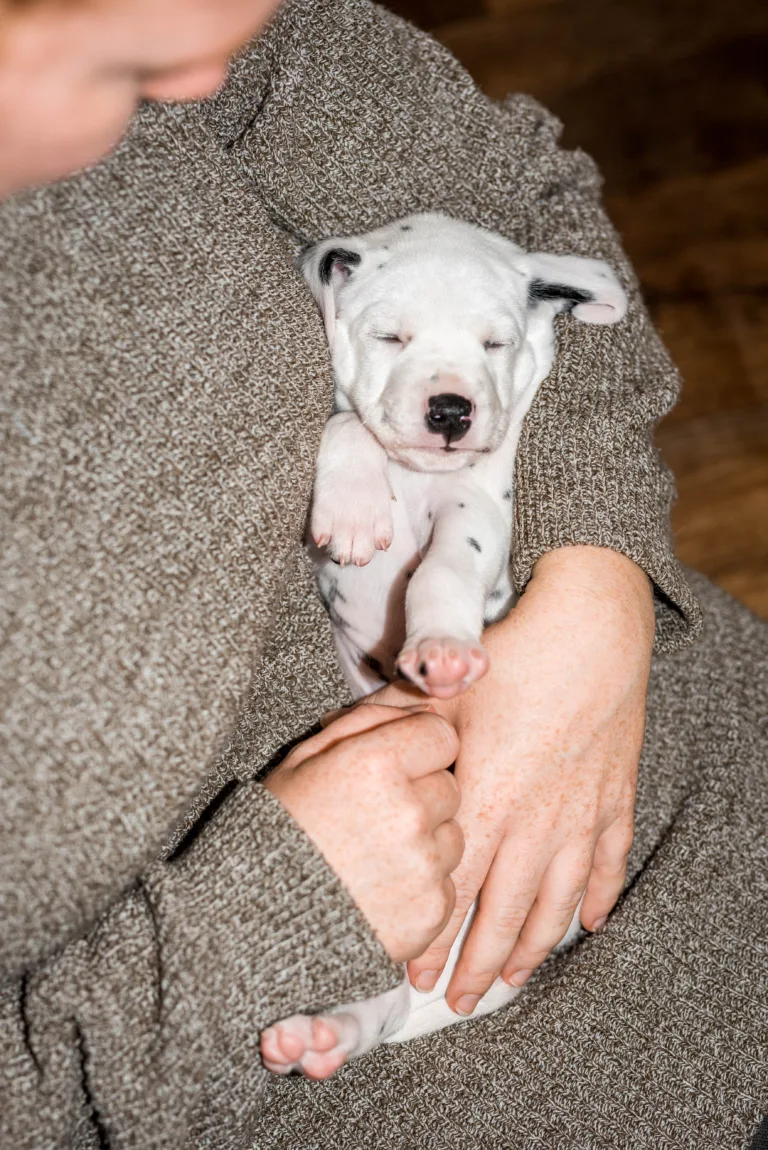 32. Lebenstag - B-Wurf (11)