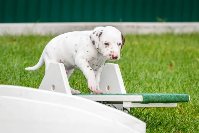 32. Lebenstag - B-Wurf (14)