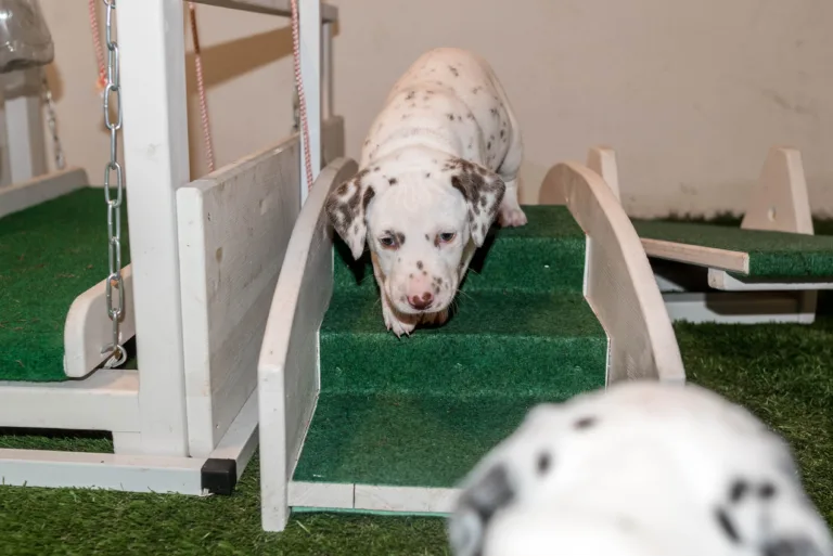 32. Lebenstag - B-Wurf (18)