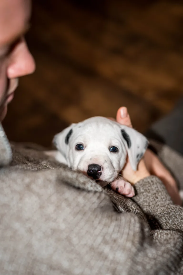 32. Lebenstag - B-Wurf (2)