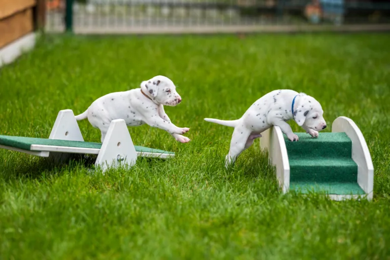 32. Lebenstag - B-Wurf (23)