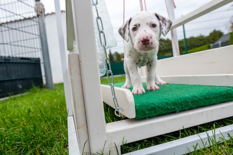 32. Lebenstag - B-Wurf (25)