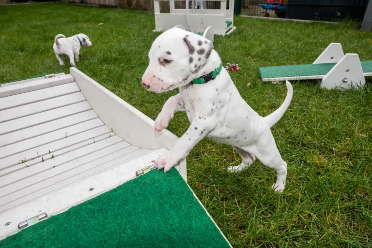 32. Lebenstag - B-Wurf (26)