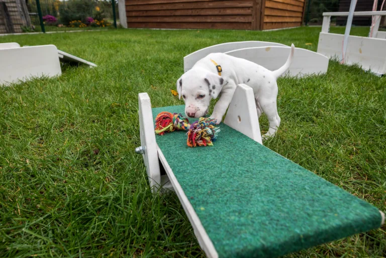 32. Lebenstag - B-Wurf (27)