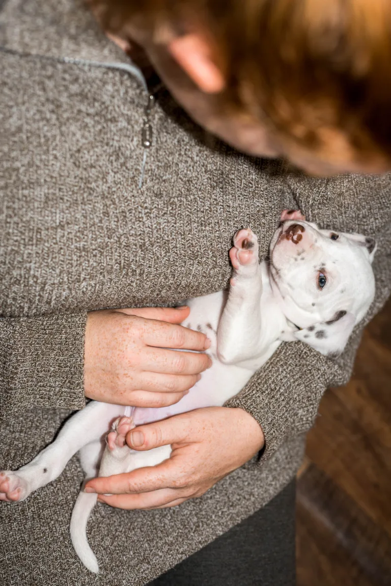 32. Lebenstag - B-Wurf (6)