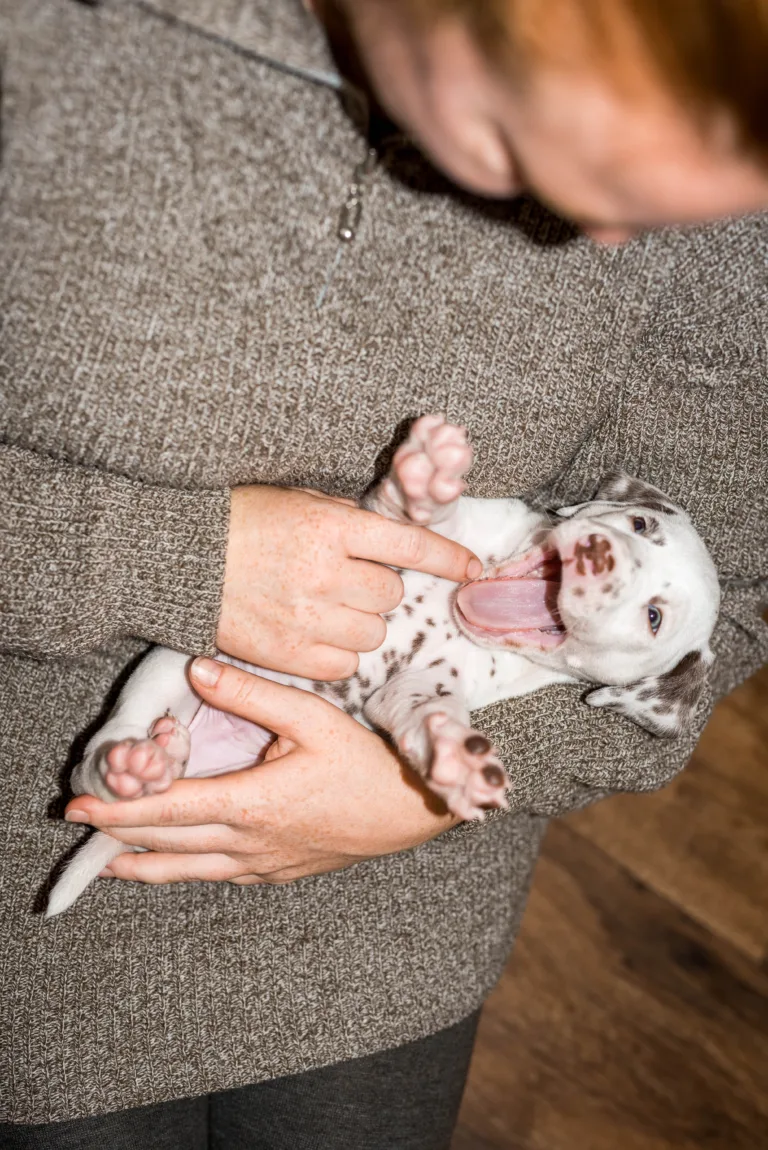 32. Lebenstag - B-Wurf (7)