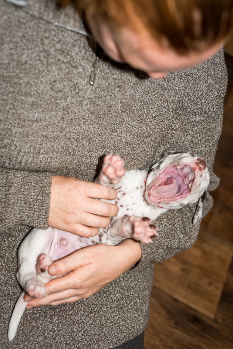 32. Lebenstag - B-Wurf (8)