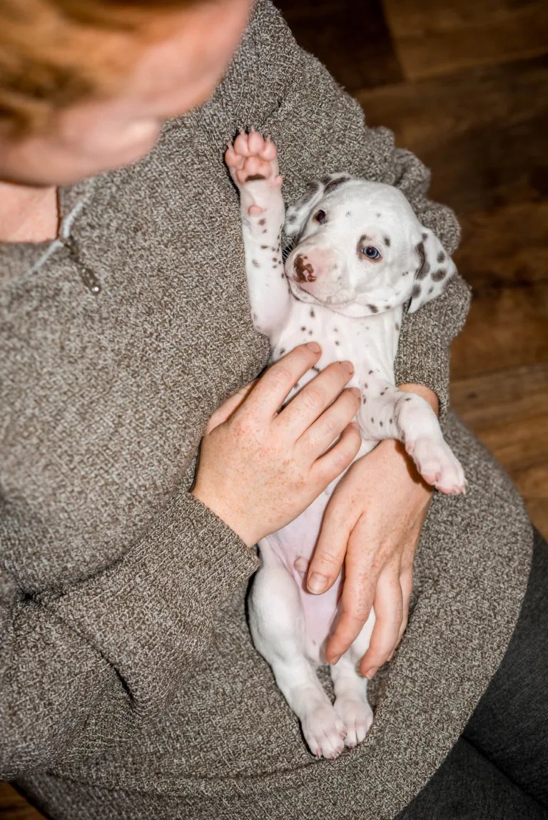 32. Lebenstag - B-Wurf (9)