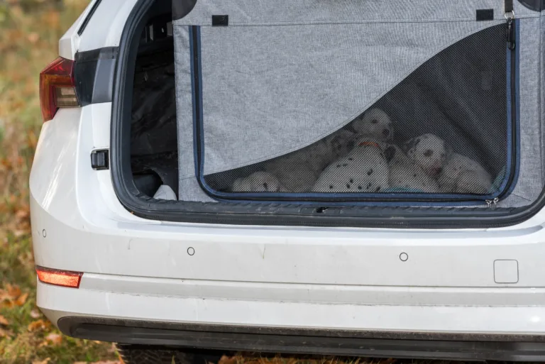 33. Lebenstag - B-Wurf (23)