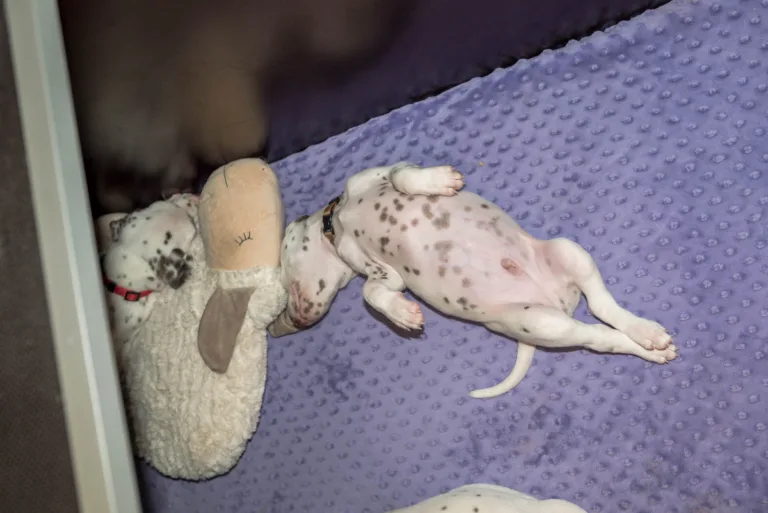 33. Lebenstag - B-Wurf (26)