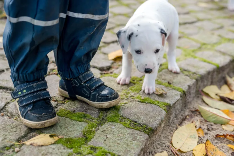 34. Lebenstag - B-Wurf (10)