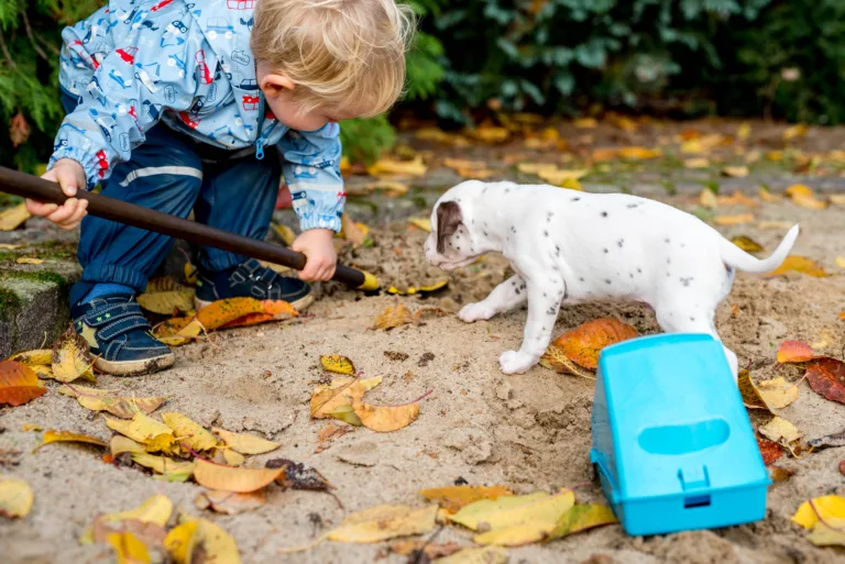 34. Lebenstag - B-Wurf (2)