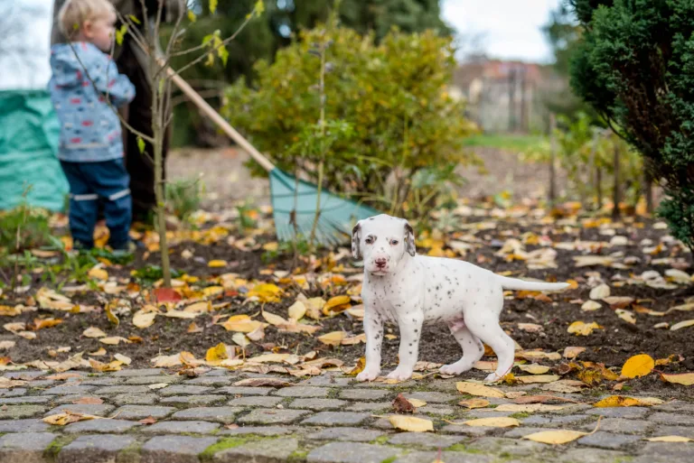 34. Lebenstag - B-Wurf (25)