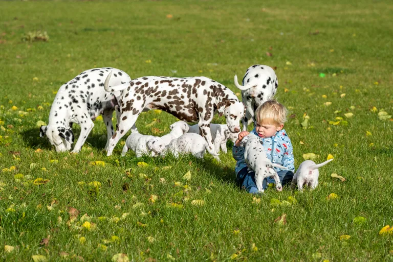 34. Lebenstag - B-Wurf (30)