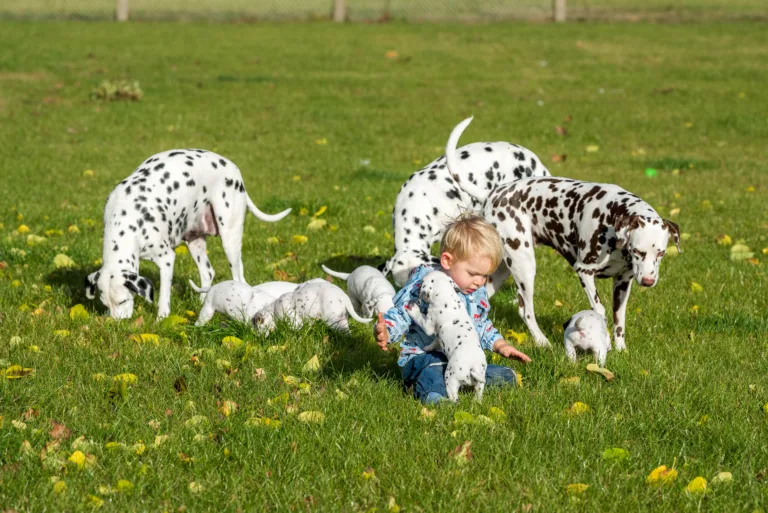34. Lebenstag - B-Wurf (31)