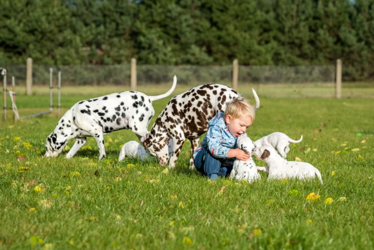 34. Lebenstag - B-Wurf (32)