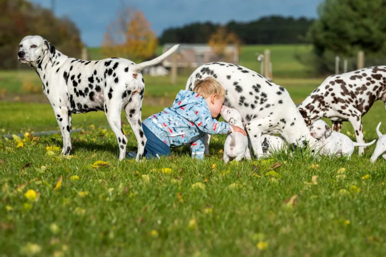 34. Lebenstag - B-Wurf (34)
