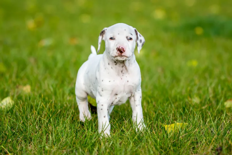 34. Lebenstag - B-Wurf (38)