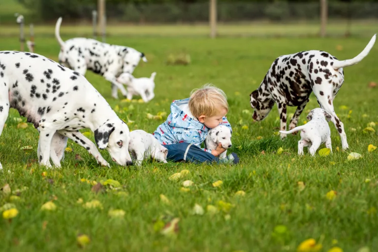 34. Lebenstag - B-Wurf (40)