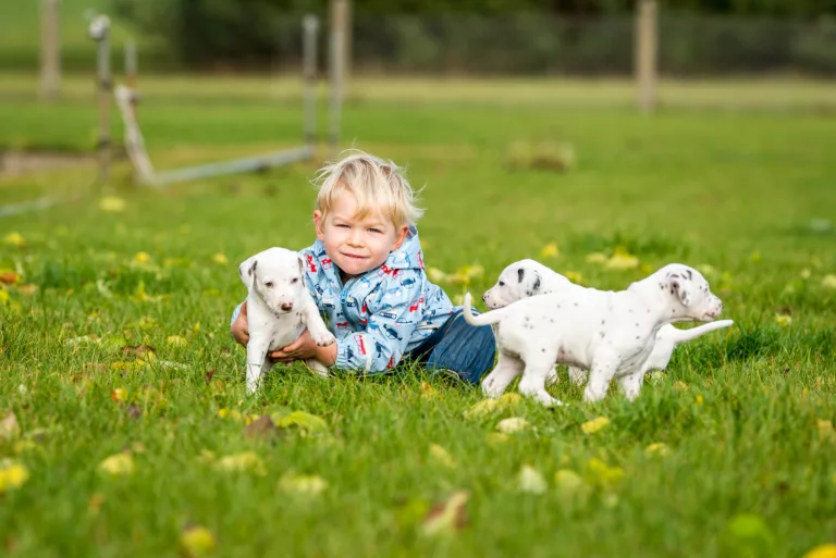 34. Lebenstag - B-Wurf (42)