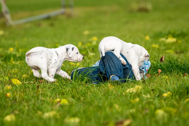 34. Lebenstag - B-Wurf (45)