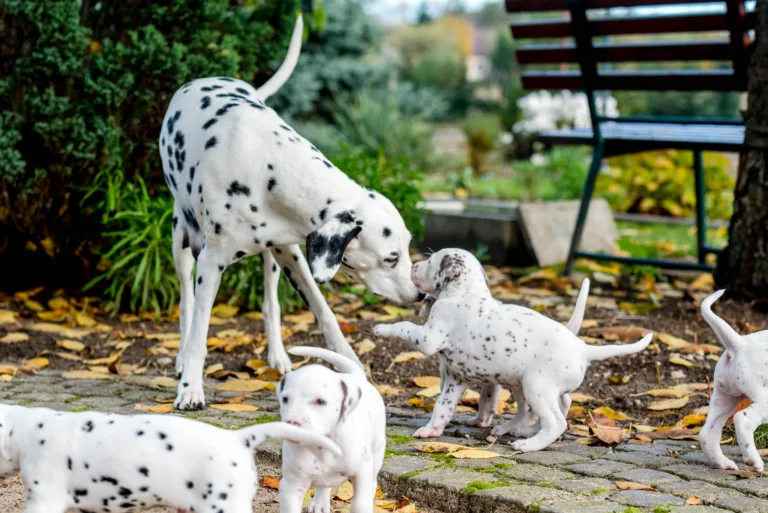 34. Lebenstag - B-Wurf (5)